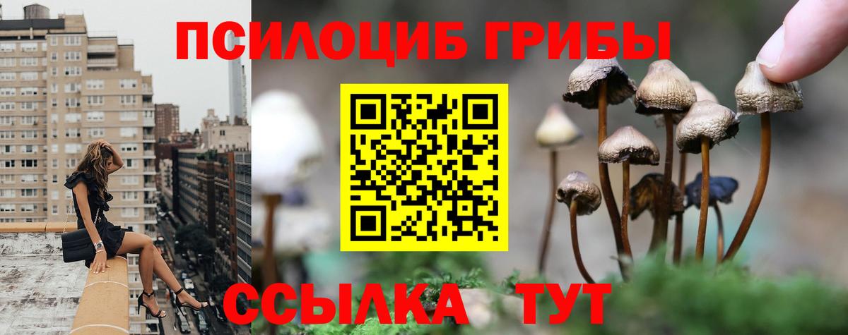 Галлюциногенные грибы Cubensis Асбест
